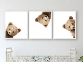 Adorable Peeking Bear Nursery Prints