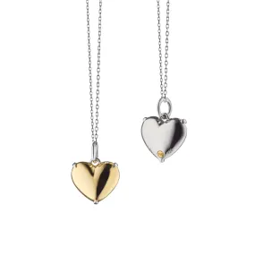 "Heart of Gold" Two-Tone Charm Necklace